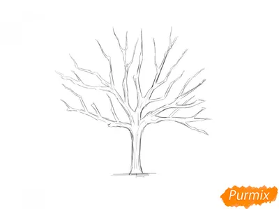 дерево без листьев стоит в поле поздней осенью Фото Фон И картинка для  бесплатной загрузки - Pngtree