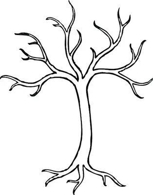 Рисунок карандашом дерево без листьев - 52 фото