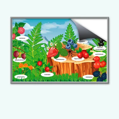 Комплект развивающий \"Природа. Ягоды\" для детей дошкольного возраста в  детских садах и дома - купить с доставкой по выгодным ценам в  интернет-магазине OZON (829908012)
