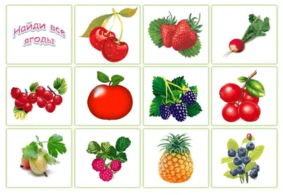 Купить Детские деревянные рамки-вкладыши «Овощи, ягоды, фрукты» 15 × 15 ×  0,5 см, МИКС (9019588) в Крыму, цены, отзывы, характеристики | Микролайн
