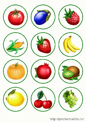 Картинки на шкафчики в детском саду \"Овощи, фрукты, ягоды\" - Всё для  детского сада - Методический кабинет - Обучение и развитие - ПочемуЧка -  Сайт для детей и их родителей