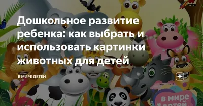 Дидактические карточки животные - купить в интернет-магазине дидактические  карточки