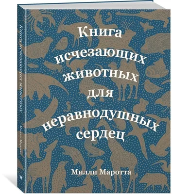 Сборник развивающих заданий. Окружающий мир: для детей от 6 лет – купить по  цене: 36 руб. в интернет-магазине УчМаг