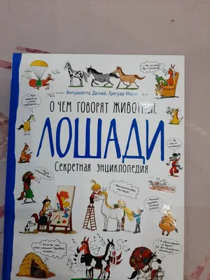 Мультяшные животные, обезьяна, жираф, слон, настенная живопись на холсте,  детские постеры и принты, настенные картины, декор для детской комнаты без  рамки – лучшие товары в онлайн-магазине Джум Гик