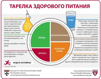 Диета Магги (творожная) Eat Village (Москва): отзывы, фото еды