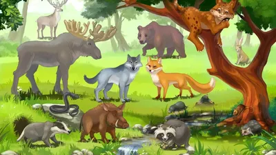 Дикие животные для детей, животные леса, развивающее видео для детей -  YouTube