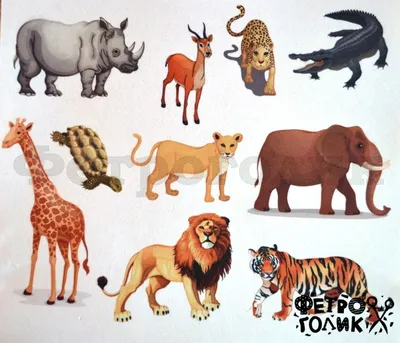 Дикие животные сборки для детей Иллюстрация вектора - иллюстрации  насчитывающей изолировано, иллюстратор: 200216926
