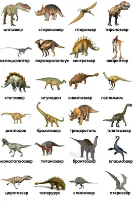 [81+] Динозавров на русском с картинками обои
