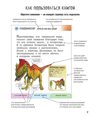 3000 картинок. Динозавры и Животные, которые можно рассматривать целый год,  , АСТ купить книгу 978-5-17-110849-6 – Лавка Бабуин, Киев, Украина