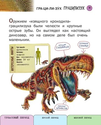 Карточки Домана Динозавры 20 карточек на русском языке (2100064096563) –  купить в интернет-магазине Ditya.com.ua цены, отзывы, фото, характеристики