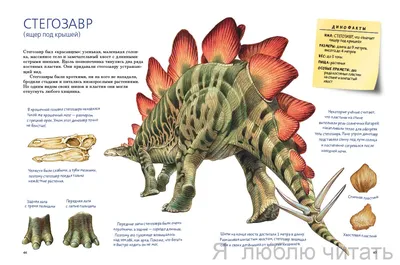 Такие разные динозавры: энциклопедия в картинках