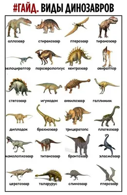 Раскраска животных динозавры. раскраски животных раскраски динозавры.  Раскраска для печати.