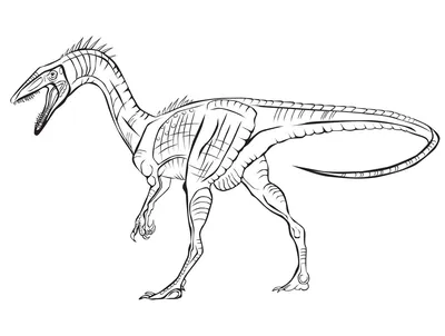 Раскраски динозавры для мальчиков распечатать бесплатно |