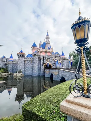 Ultimate Guide to Disneyland Vs Disney World 2024