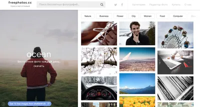 Где взять фотографии для дизайна сайта?