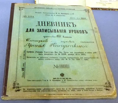 Дневник школьный для младших классов, офсет 60 г/м2, обложка гибкая  интегральная купить с выгодой в Галамарт