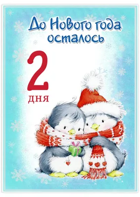 IRBIS TV on Instagram: \"Всего 4 дня осталось до Нового года! Поздравляйте в  комментариях своих родных и близких с праздником, а лучшие отклики мы  покажем в эфире! 📽️ Не забывайте отмечать тех,