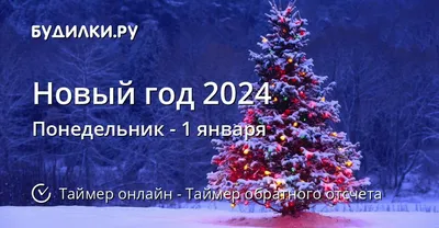 До Нового Года осталось 4 дня | #ЖИТЬ | Дзен