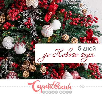 Домашнє щастя - До Нового года осталось 5 дней! 🎉🎄🎅✨😉❤ 😱🏃🎁 . Подарки  на ваш вкус! Для ваших родных и близких! Для подружек и друзей! Для больших  и маленьких! С теплом и любовью 💕, Домашнє щастя ! | Facebook
