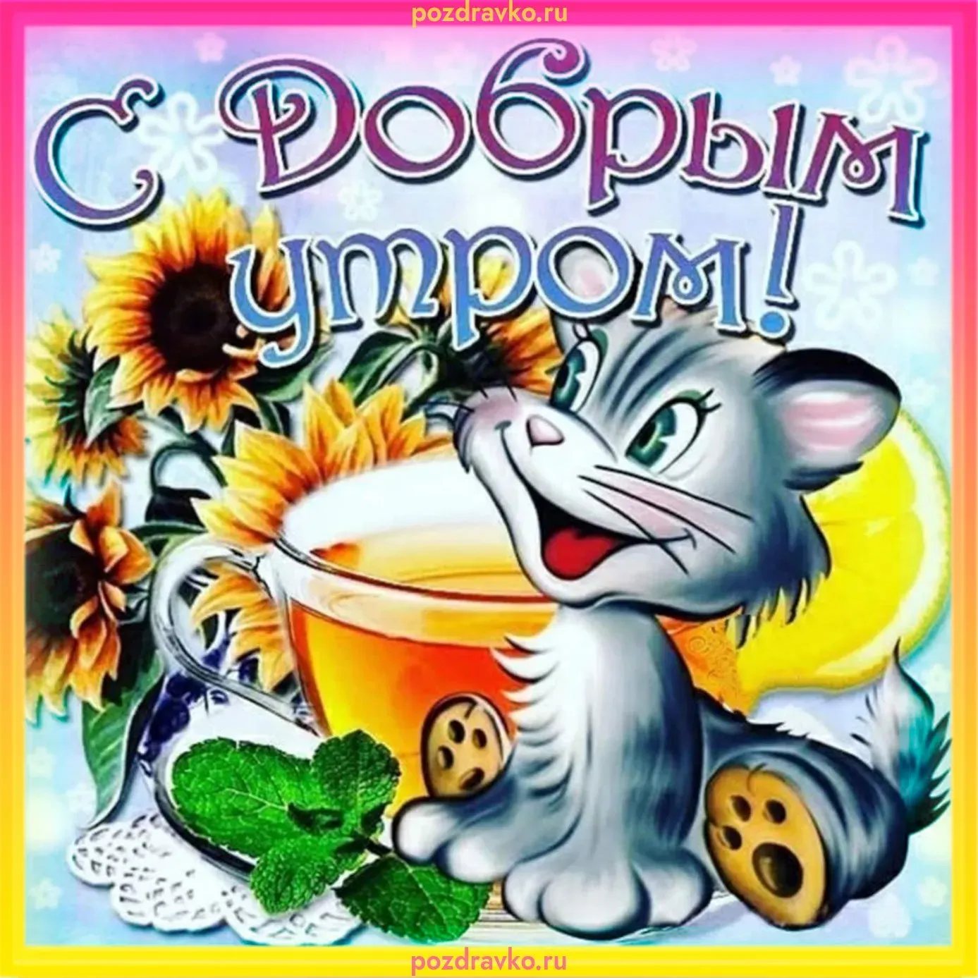 Гифки с добрым утром смешные