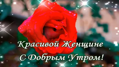 Картинки \"С добрым утром женщине!\"