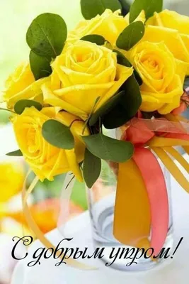 Доброе утро!!! | Красивые розы, Оранжевые розы, Открытки