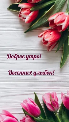 Доброе утро Весна! | Ключ | Дзен