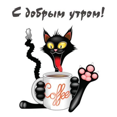Чёрный кот: открытки с добрым утром - инстапик | Открытки, Смешной  счастливый, Доброе утро