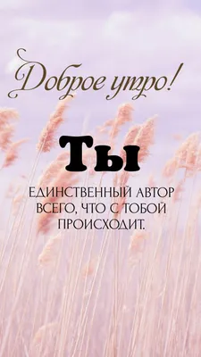 Идеи на тему «Мотивация утро» (65) | мотивация, вдохновляющие цитаты, цитаты