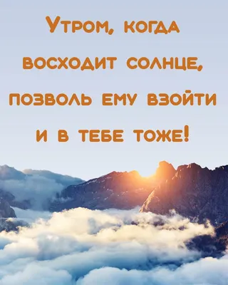 Доброе утро, прекрасные💖 Чудесного вам дня🤗 #доброеутро  #доброеутродолгопрудный #мотивация #цитатадня #салонкрасотыдолгопрудный… |  Instagram