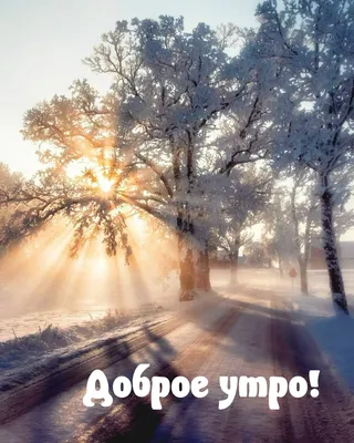 Открытки открытки доброе утро...