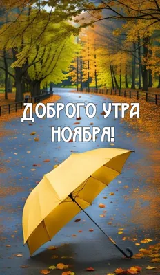 Ольга Блогер | Доброе утро #осень #моменты #жизнь #люди #общество #парк  #природа #россия #ростов #доброеутро #ростовскаяобласть #утро #добро  #животные #улица #город #прогулка #города #девушка #дождь #красота | Дзен