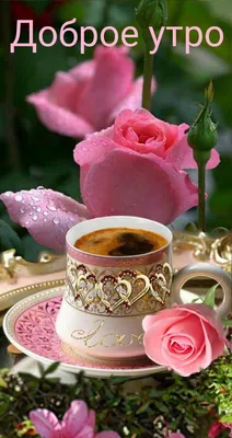 Открытка доброе утро со скрипкой и красивым букетом роз
