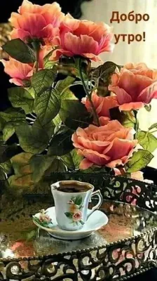 С Добрым утром! — Разное | OK.RU | Доброе утро, Красивые розы, Картины роз