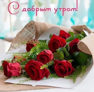 Картинка красивый букет роз в рамочке для очень доброго утра - поздравляйте  бесплатно на otkritochka.net