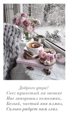 Доброе утро друзья .. доброе утро команда… у нас снег!!😀🙈🐒 | Instagram