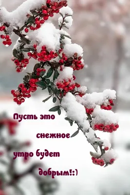 Доброе снежное утро! #сдобрымутром #доброеутро #рекомендации | TikTok
