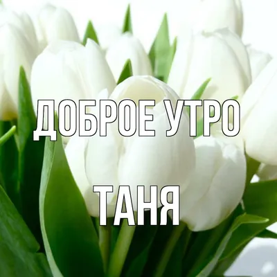 доброе утро танюша красивое видео｜TikTok Search