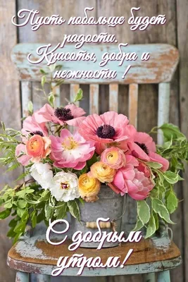 Пин от пользователя Танюша на доске Доброго ранку | Доброе утро, Утренние  цитаты, Позитив