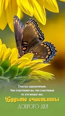 Добрейшего утра! Доброго дня 🤗😊😜🌞🌞🌞🌈 #доброеутро #настроение  #позитив #gudmorning #мантра #аффирмации #юмор #кофе #завтрак #улыбнись |  Instagram