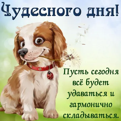 🌷 Всем хорошего дня! 🔸🔸🔸🔸🔸🔸🔸🔸🔸🔸🔸🔸🔸🔸🔸 #россия #мир #news  #ростов #юмор #позитив #смех #добро #хорошеенастроение #счастье #улыбка  #весна | Instagram