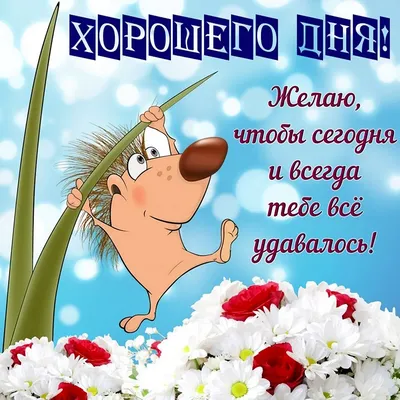 Хорошего дня картинки