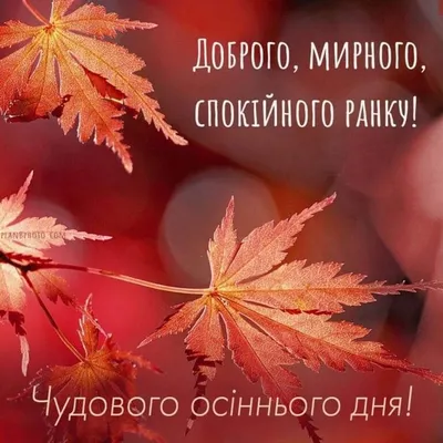 Побажання доброго осіннього ранку на листівках українською мовою – Жіночий  журнал Modista