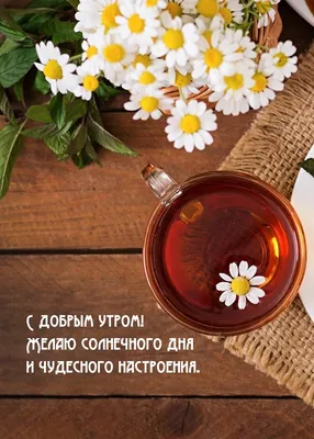 ТРАФИК ОНЛАЙН - Доброго солнечного утра желаю Всем, кто увидит это фото.  Пусть этот день будет самым счастливым для вас на этой неделе. 😄😄😄💐💐💐  | Facebook