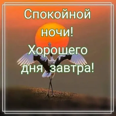 Спокойной Ночи! Сладких Снов! До Завтра! 💎⭐🌙. - YouTube