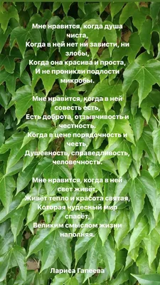 Пин от пользователя Raya Bayramova на доске Цитаты и статусы со смыслом.✍️✍️✍️  - Words of .... | Правдивые цитаты, Мудрые цитаты, Вдохновляющие цитаты