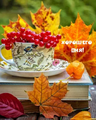 Добрый день картинки осень