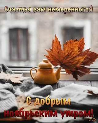 🍂🍁 ДОБРОЕ УТРО, ДРУЗЬЯ! ОТЛИЧНОГО ДНЯ! 🍁🍂 Последние теплые дни октября  А дальше зимняя прохлада.. | ВКонтакте