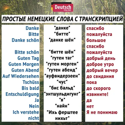 Добрый вечер 🌙 Пушистых снов» — создано в Шедевруме