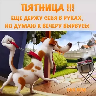 Добры Осеннний Вечер Пятницы | TikTok